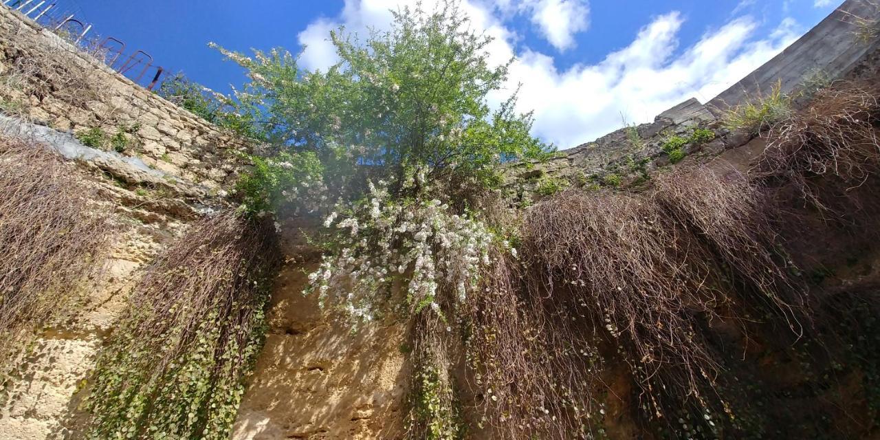 "La Casina Del Forno Con Piscina Fra Catania E Siracusa " Carlentini Esterno foto